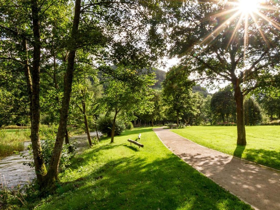Ferienwohnung Kurparkblicksauerland レンネシュタット エクステリア 写真